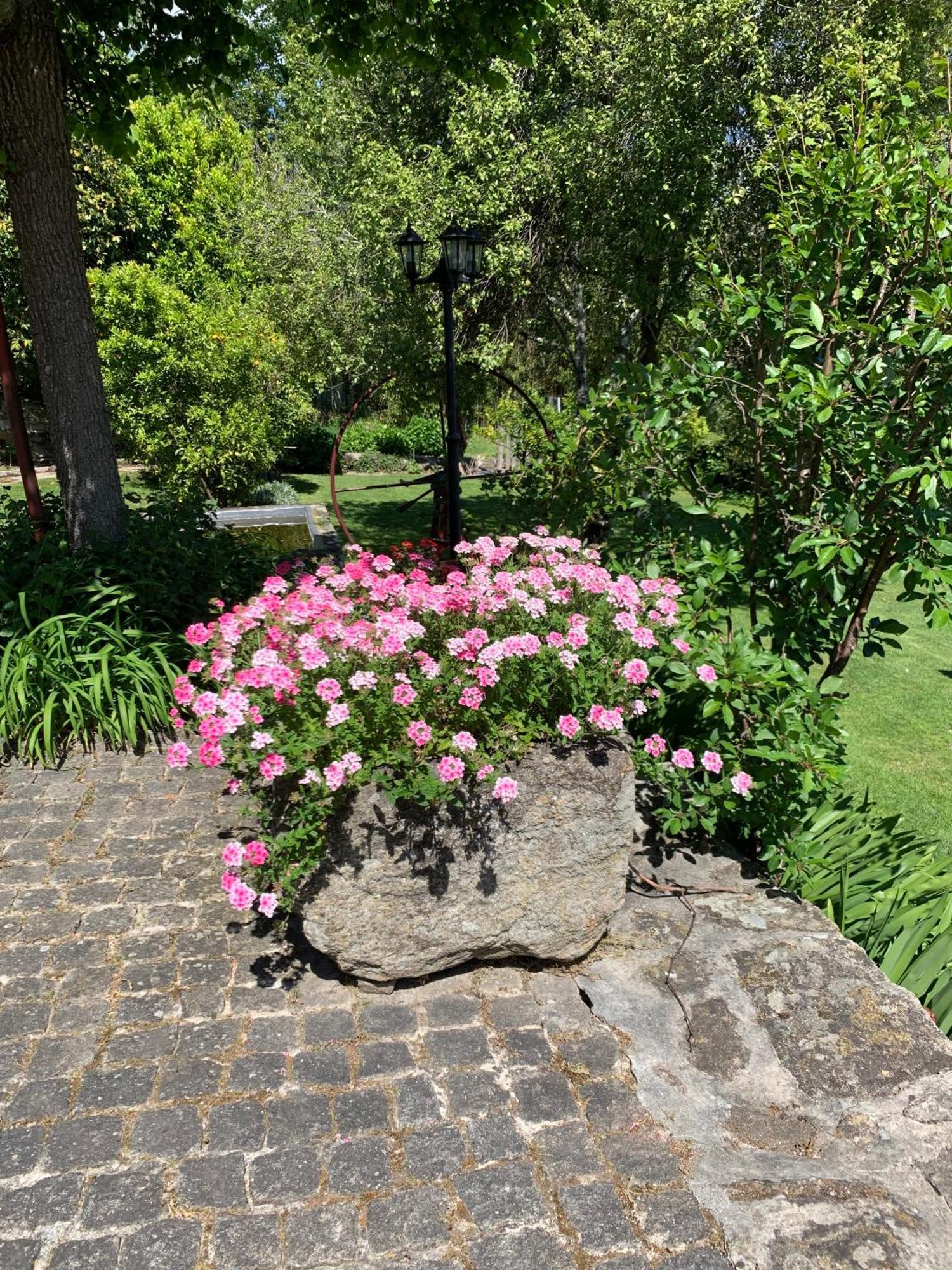 Quinta De Canhoes São Pedro do Sul Kültér fotó